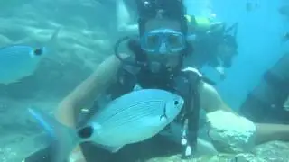 Poseidon Diving