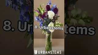 Top 10 Best Exceptional Flower Delivery Services in the World