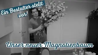 Das mit Abstand gr&ouml;&szlig;te Dekoelement! Das Unboxing...