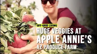 APPLE ANNIE'S PRODUCE FARM had huge mutant veggies