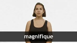 How to pronounce MAGNIFIQUE in French