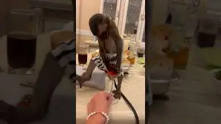 Когда не ищешь лёгких путей 🤣 #monkey #pets  #wine #berry #strawberry #evening