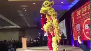 Vancity LionDance | 2019 Chinese Consulate Spring Festival Reception | 文希醒狮团