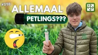 ALLEMAAL PETLINGS???HEBBES! #098