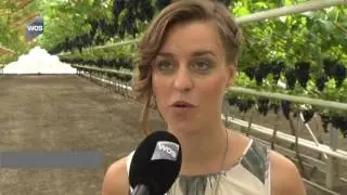Nieuwe druivenprinses gekozen