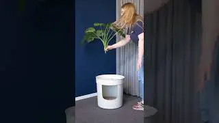 Discover our Hidden Planter!