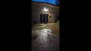 Athens Animal Rescue Shelter storm damage. Credit: Athens Animal Rescue Shelter