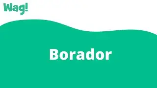 Borador | Wag!