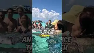 Stingray City Grand Cayman Excursion Review | 3-Stop Adventure with Starfish Point & Coral Garden