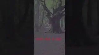 не обманывайтесь, это не деревья!!
