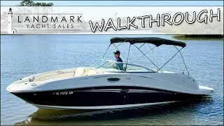2008 Sea Ray 260 SunDeck [WALKTHROUGH] - Sarasota, FL