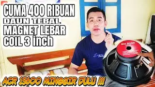 REVIEW SPESKER BIG BOSS 15 INCH YANG SIAP HAJAR ACR 15600