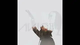 Avicii - Penguin (Alt Intro)