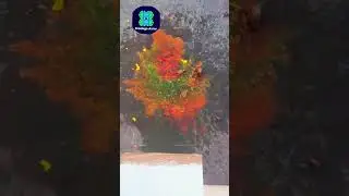 Glass Bottles Meet Their Fate! 🧊⚡ Satisfying Shatter & Roll #GlassFall #ASMRBreak #EpicSmash