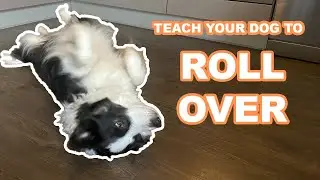 Teach your dog to ROLL OVER in just 6 SIMPLE STEPS