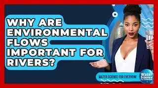 Why Are Environmental Flows Important For Rivers? - Water Science For Everyone