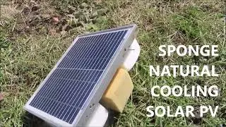 Low cost sponges absorb night humidity for day water evaporation cooled Solar PV to boost efficiency