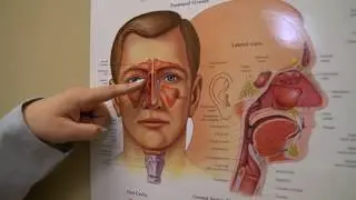 Nasal Endoscopy Procedure