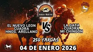 EL NUEVO LE&Oacute;N VS LA GATA   04 ENERO 25   CLUB HIPICO AGUA NUEVA