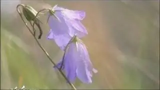 Le parc du Gâtinais (Essonne)