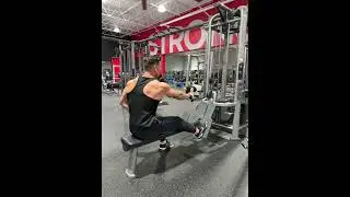 Seated Single Arm Cable Row
