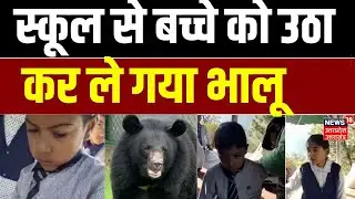 Chamoli Bear Attack : चमोली- पोखरी में भालू का आतंक, स्कूल से बच्चे को उठा कर ले गया भालू  |