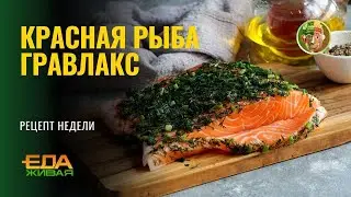 Красная рыба по-скандинавски | Живая еда (эфир 27.12.2025)