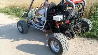 Buggy Kawasaki Ninja 600 (1)