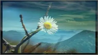AREA - Kaj sto si ti (Tekst / Official Lyrics)