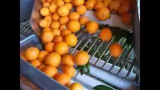 FPCA Continious Bin Dumper Video 1