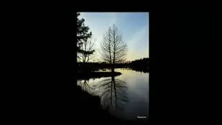 Country Estate With 400 Acres Land  in NE MS Video