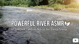 Nature&rsquo;s White Noise: Crystal Clear Stream for Deep Focus and Study