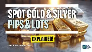 Spot Gold & Spot Silver Pips and Lots Explained