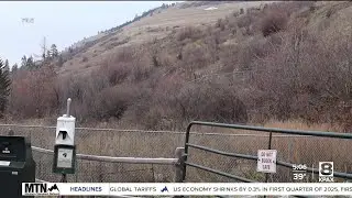 Missoula&rsquo;s Mount Jumbo North Zone to open May 1