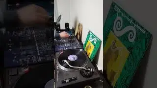 バブル期のマハラジャが好き②