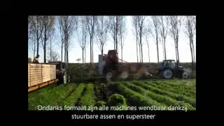 Worteloogst 2011 DH-Agro