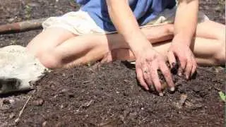 PERMIES: Planting for the Future