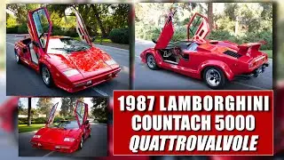 1987 Lamborghini Countach 5000 QV For Sale