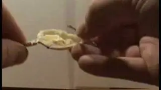 Fishing Lure Autopsy