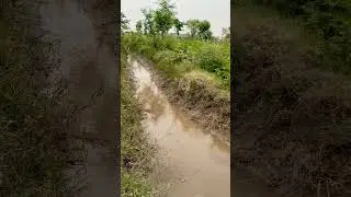 What&rsquo;s Hiding at the End of This Water Channel?#nature #rain #shorts