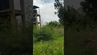 Plot for Sale in Kahawa Sukari,3rd South Avenue.Call 0700199555