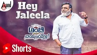 Ambi Ning Vayassaytho | Hey Jaleela | Full Song 2K | Ambareesh | Sudeepa | Arjun Janya | Prem's