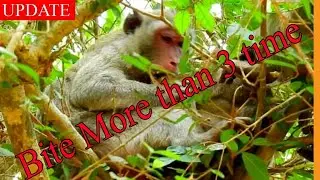 Worse than Hunger !! Jane Want to Wean Janna Bite Her Many time To Stop Her