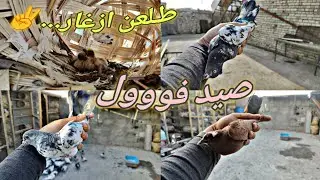 شلون تار طفر مني 🥺 صيد فووول اليوم🔥
