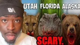 The Deadliest Animal in Each US State