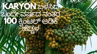 ದಾವಣಗೆರೆ ಜಿಲ್ಲೆ ಪರಶುರಾಮಪುರ ಗ್ರಾಮ 6363228060 #shivamogga #davanagere #chitradurga #channagiri #kadur 