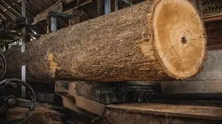 Extreme Size Natural Wood Processed by Machine
