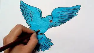 how to draw peace dove | drawing for kids