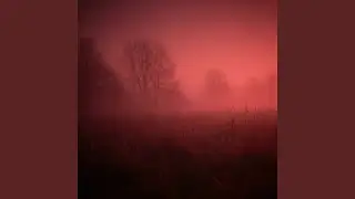 Everything Has to Stop For a While