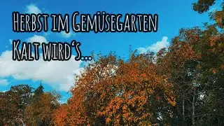 Herbst im Gemüsegarten - der erste Frost droht. Was ist zu tun?